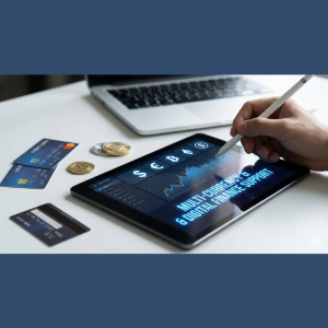 Paylentra global company formation and payment gateway setup services